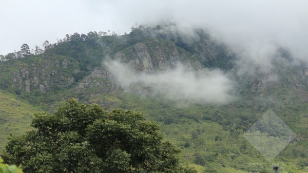 1004,Land,Oakwell Estate,Haldumulla