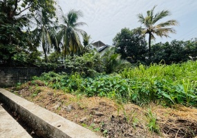 1688,Land,Pirivena Road, Boralesgamuwa