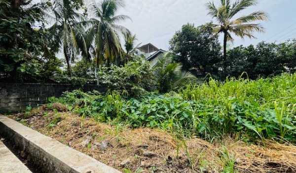 1688,Land,Pirivena Road, Boralesgamuwa