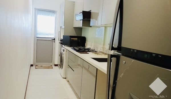 1698,Luxury Apartment,Capitol Elite, Colombo 7
